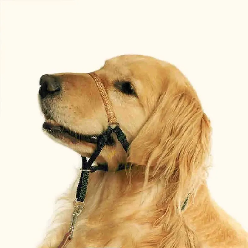 Comfort Trainer Head Halter, Stop Dog Pulling!