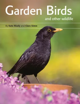 Garden Birds and Other Wildlife